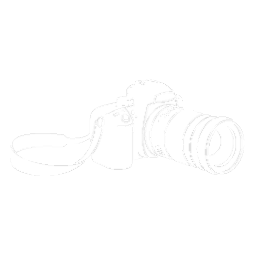 Videos & Pictures